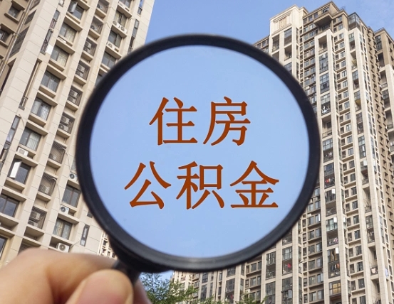丹东退休后查不到公积金明细了吗（退休后公积金查询不到原因）
